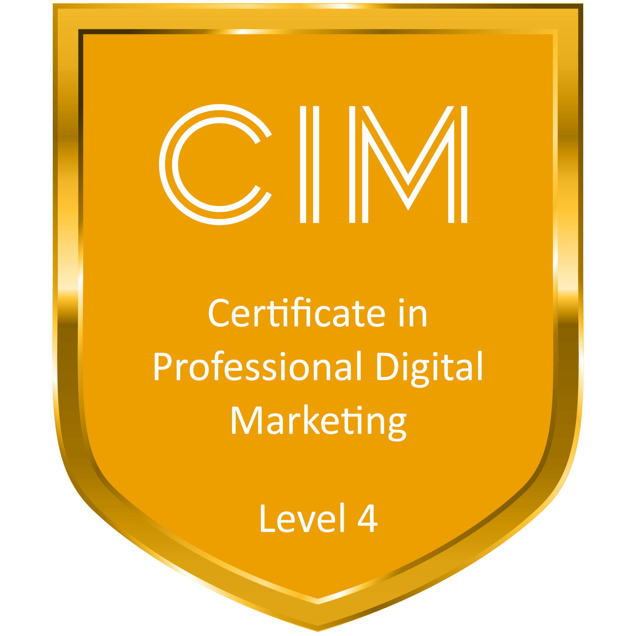 CIM certificate in professional digital marketing
