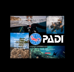 Read more about the article How I landed my dream client PADI