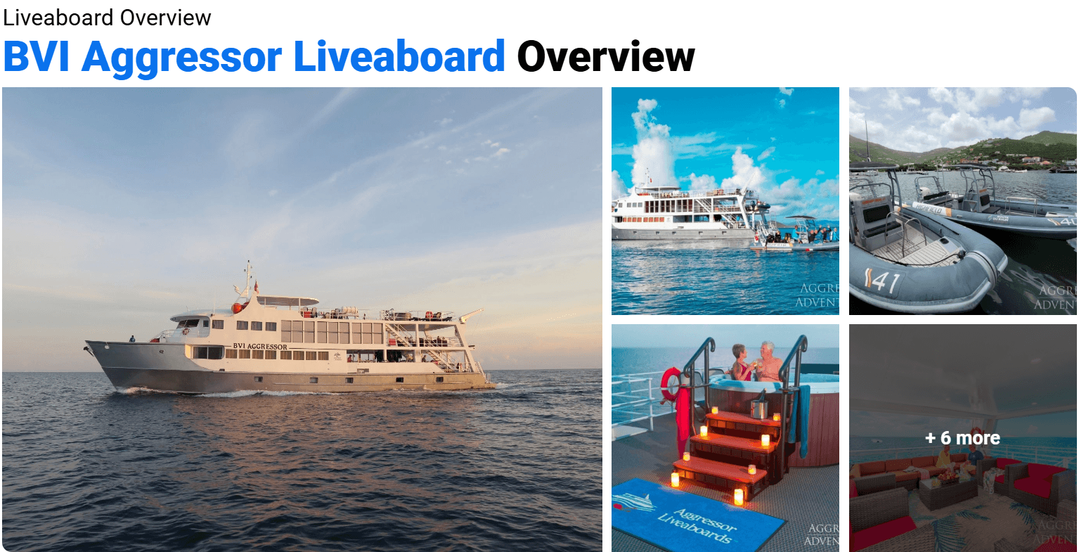 DIVEIN liveaboqrd reviews
