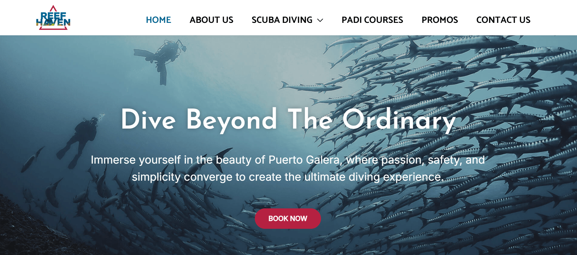 Reef Haven dive centre website copy