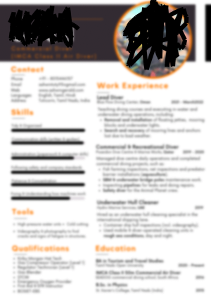 Infographic_CV_Writer_ Infographic_CV_Writer_