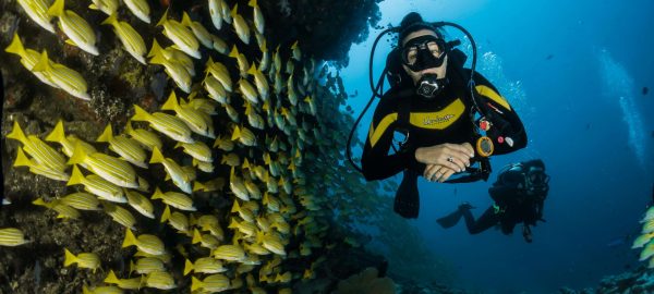 scuba-diver scuba-diver